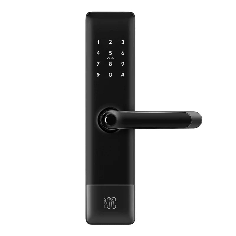 Winstyn Fingerprint and Keyless Entry Mortise Lock