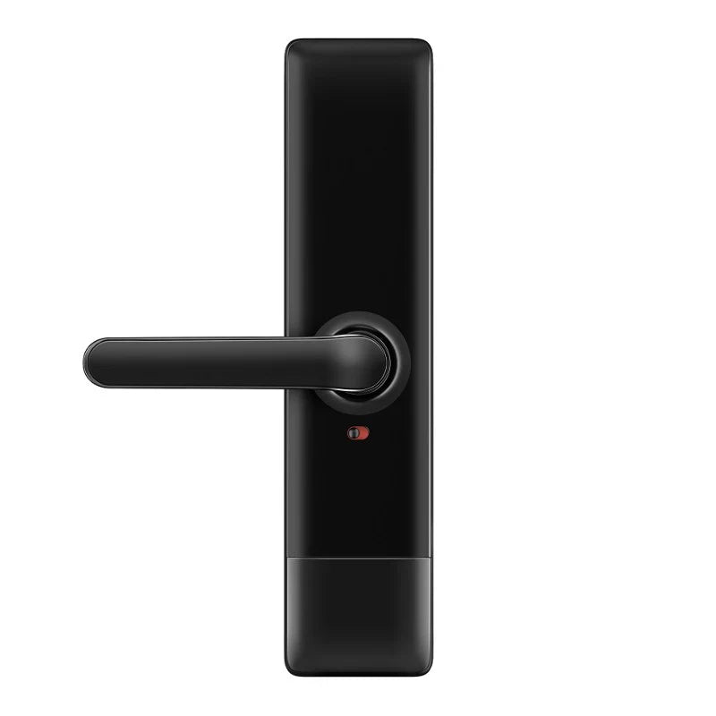 Winstyn Fingerprint and Keyless Entry Mortise Lock